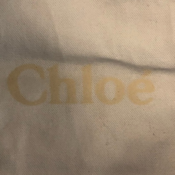 Chloe Bundle of 2 Dustbags 12.5" x 7" - Picture 4 of 4